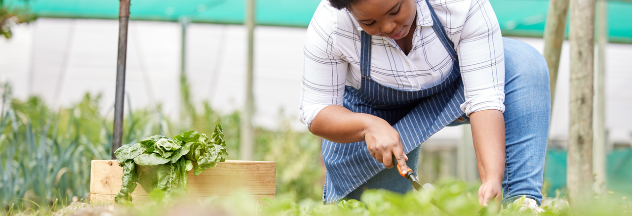 Header farming is a game of patience and hope shot of a 2022 09 14 00 46 05 utc