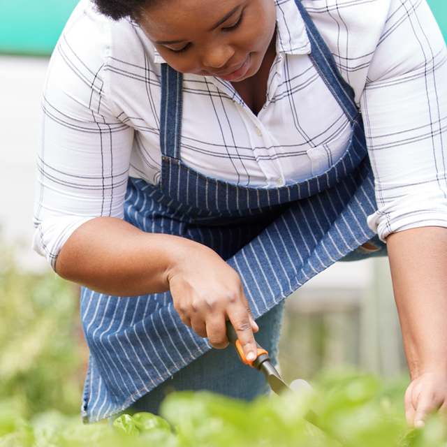 Header farming is a game of patience and hope shot of a 2022 09 14 00 46 05 utc