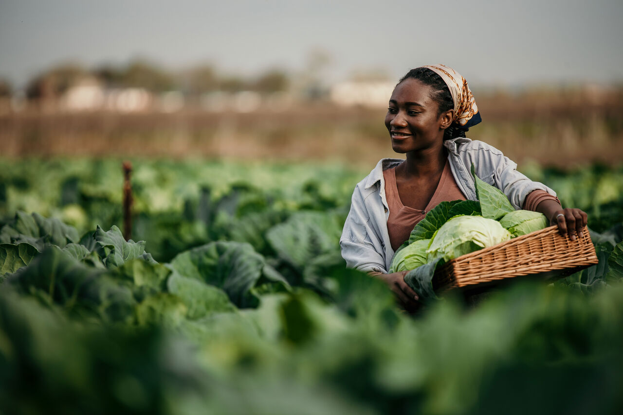 Adobe Stock 597669709 02