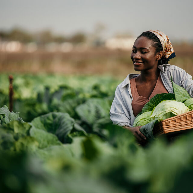 Adobe Stock 597669709 02