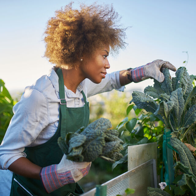 Adobe Stock 196916070 02