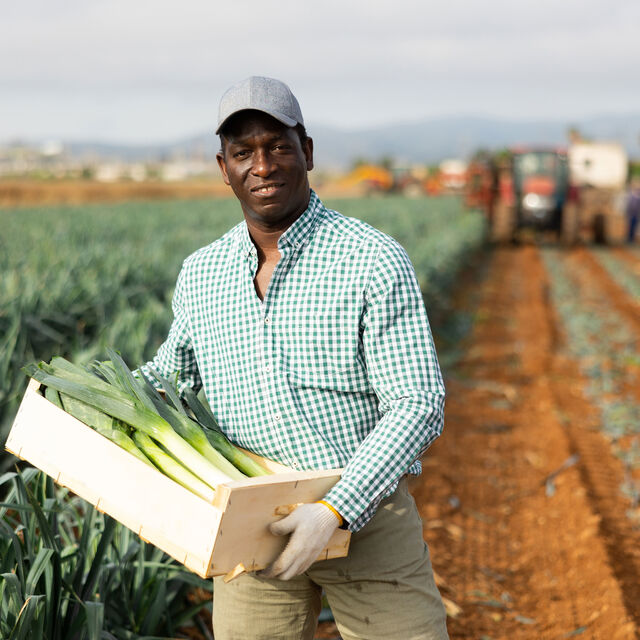 Adobe Stock 592095309 02